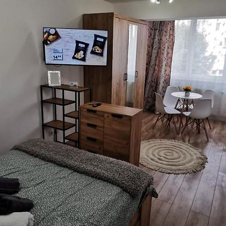 Apartament Ana Studio Târgu-Mureş Zewnętrze zdjęcie