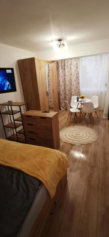 Apartament Ana Studio Târgu-Mureş Zewnętrze zdjęcie