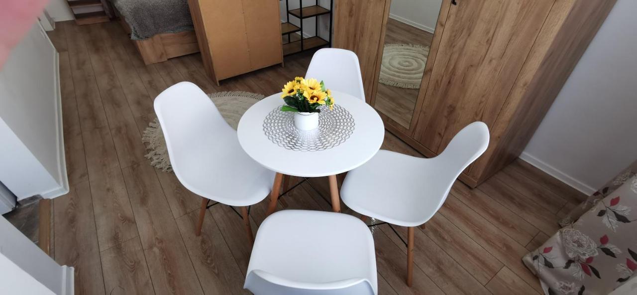 Apartament Ana Studio Târgu-Mureş Zewnętrze zdjęcie