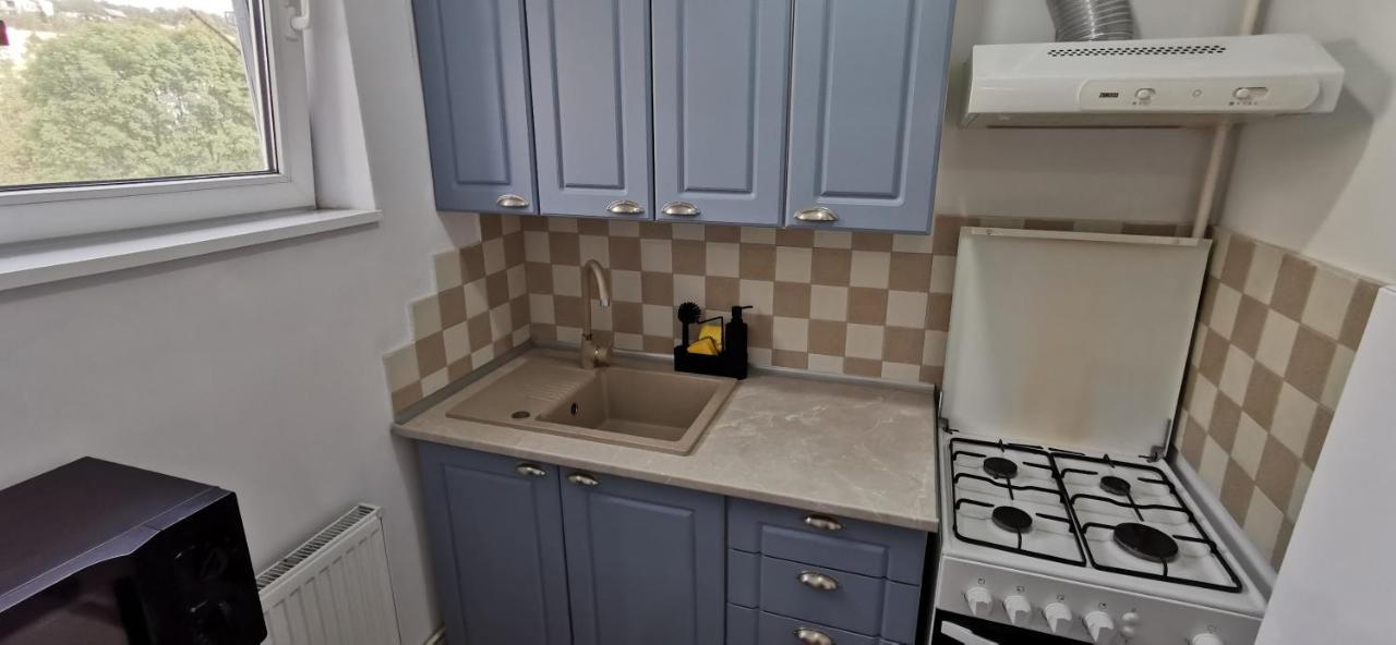 Apartament Ana Studio Târgu-Mureş Zewnętrze zdjęcie